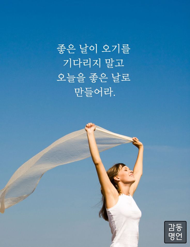 테스트 이미지