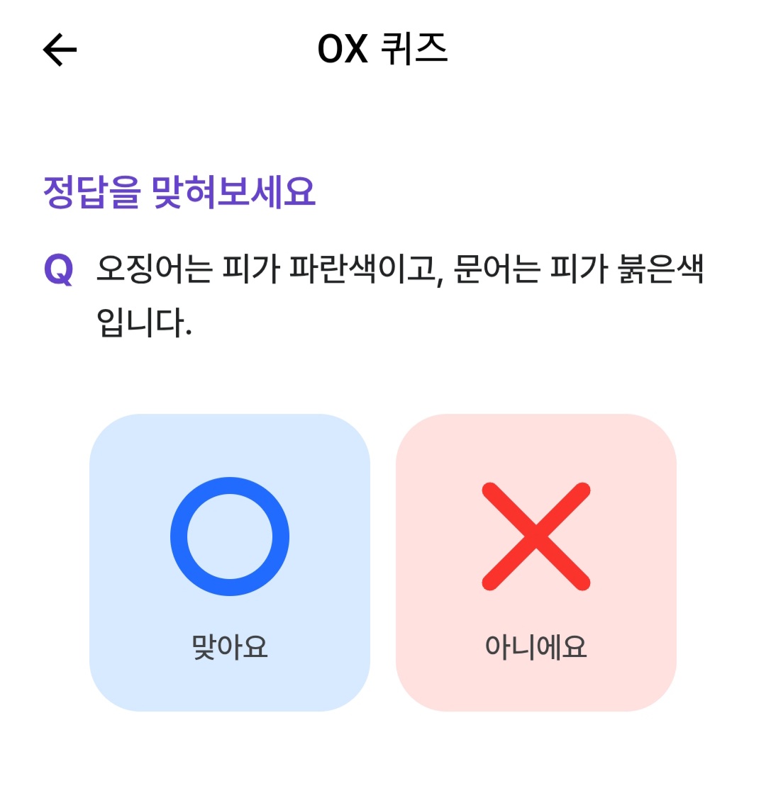 테스트 이미지