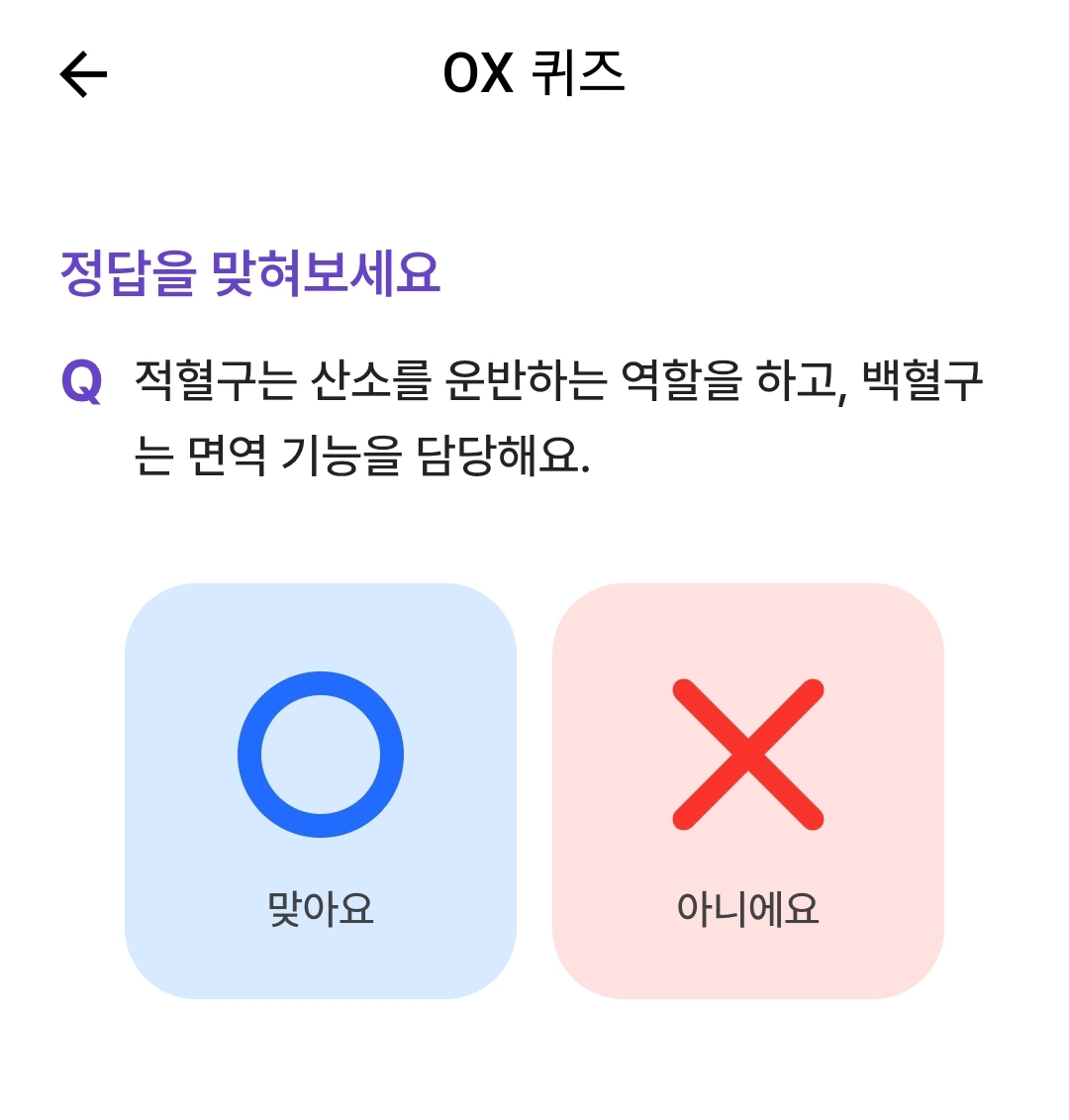 테스트 이미지