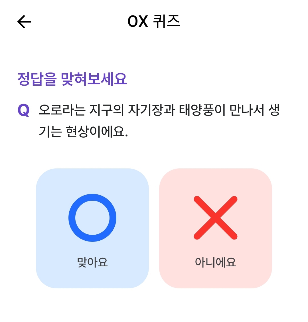 테스트 이미지
