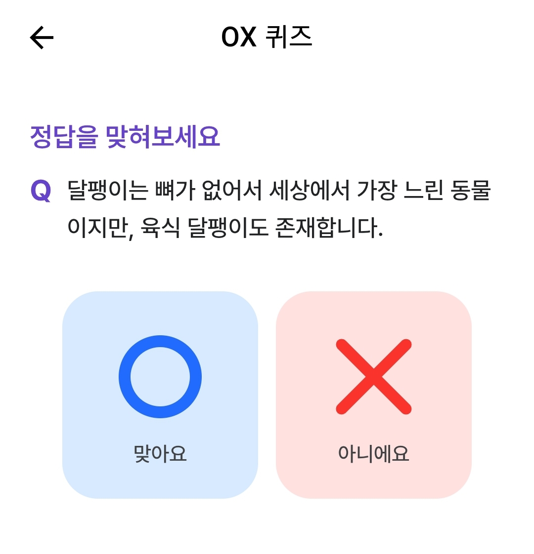 테스트 이미지