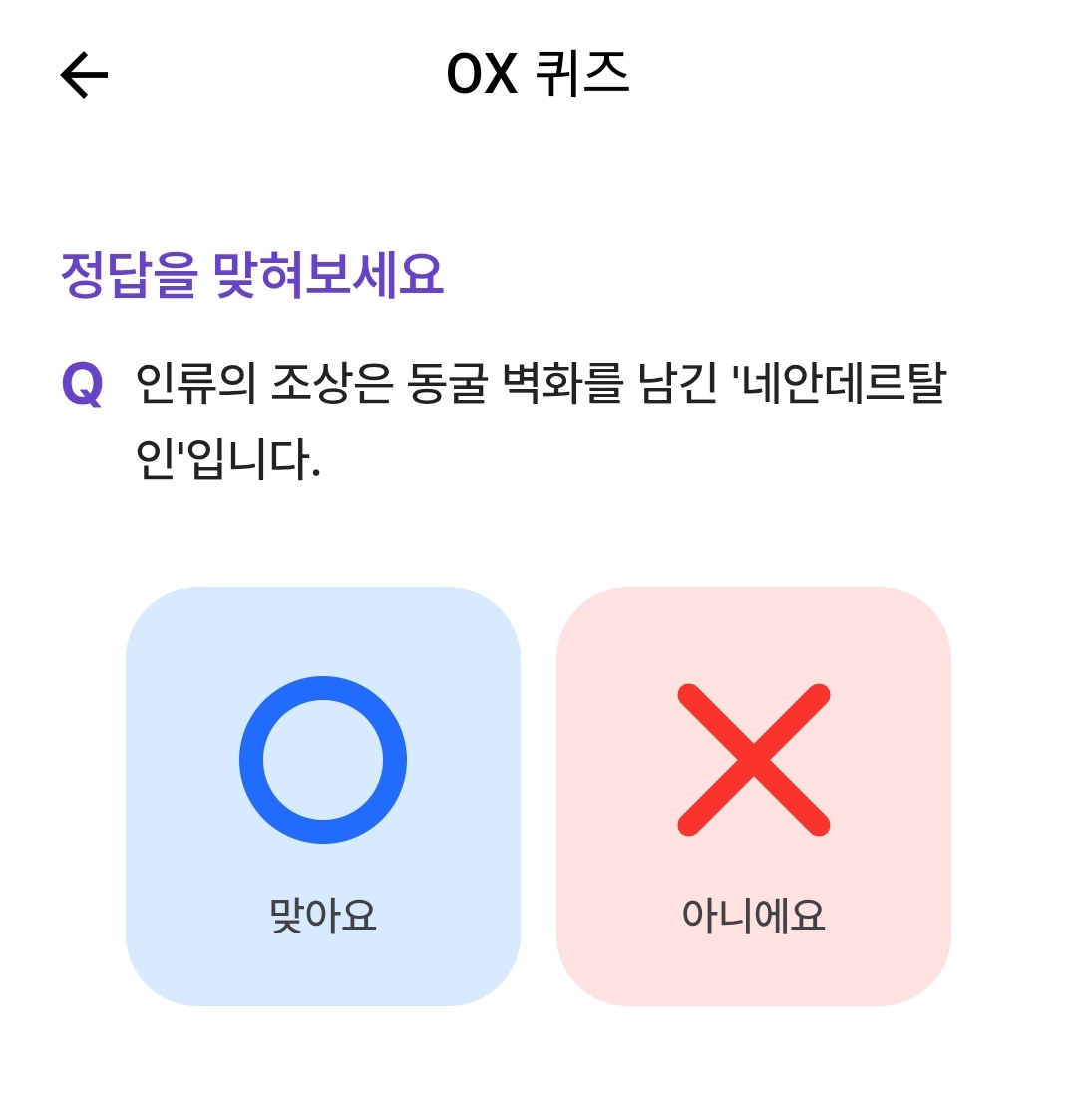테스트 이미지