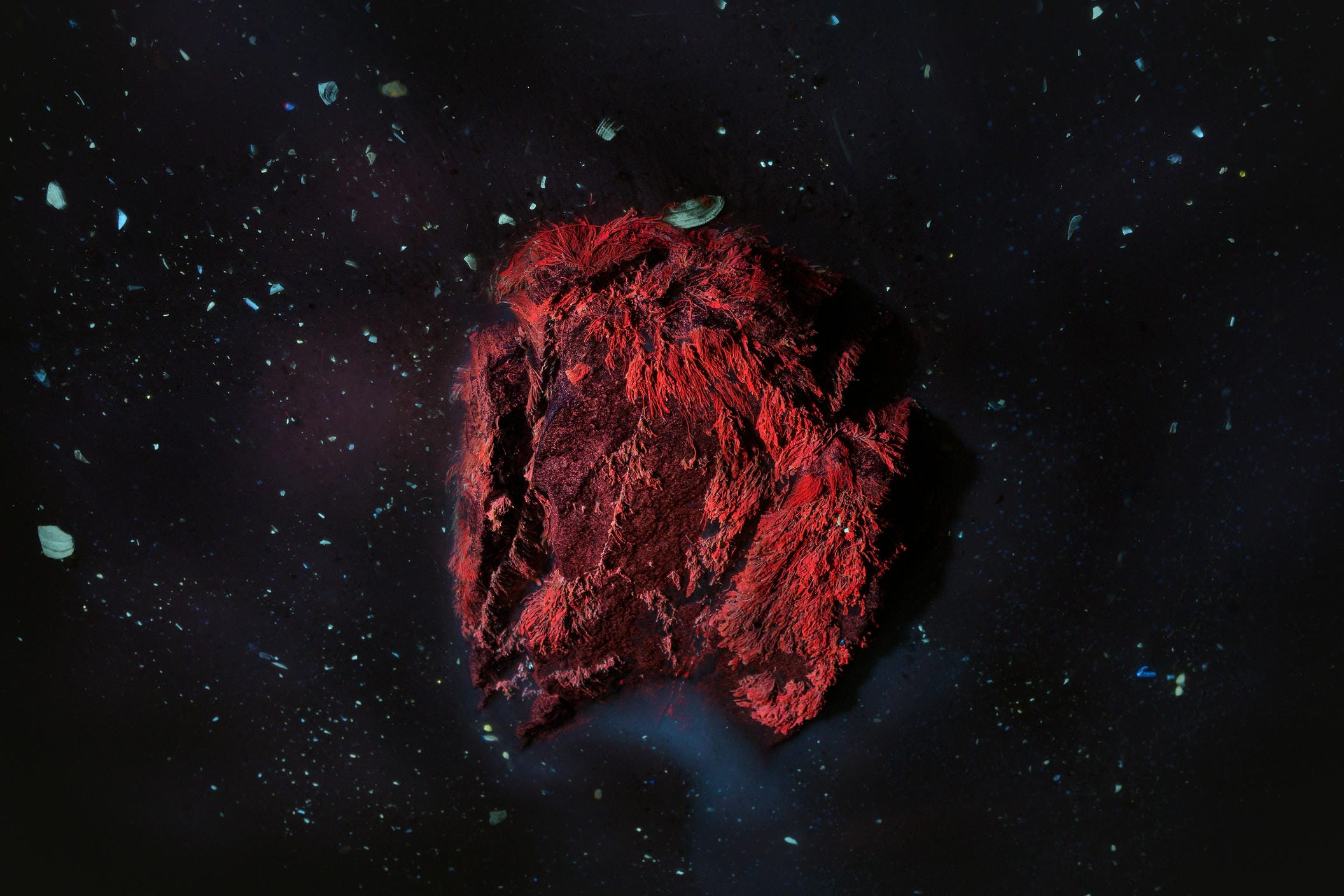 Cosmic Chlorophyll