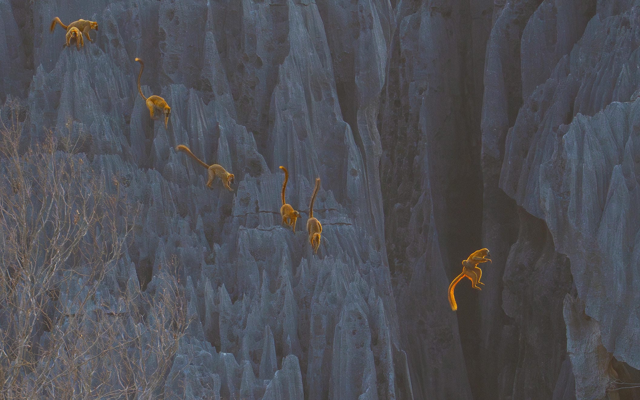 Leap of Faith